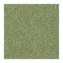 Ковровая плитка Tessera Chroma 3617 botanical