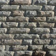 Плитняк (серый дракон) PRS-5-02