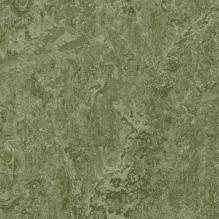 Линолеум Marmoleum Real 3255 Forbo