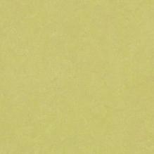 Линолеум Forbo Marmoleum Fresco 3885 spring buds