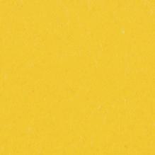 Линолеум Forbo Marmoleum Solid Piano 3648/364835 sunray