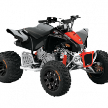 Квадроциклы DS X 90 2021